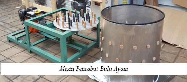 Mesin Pencabut Bulu Ayam